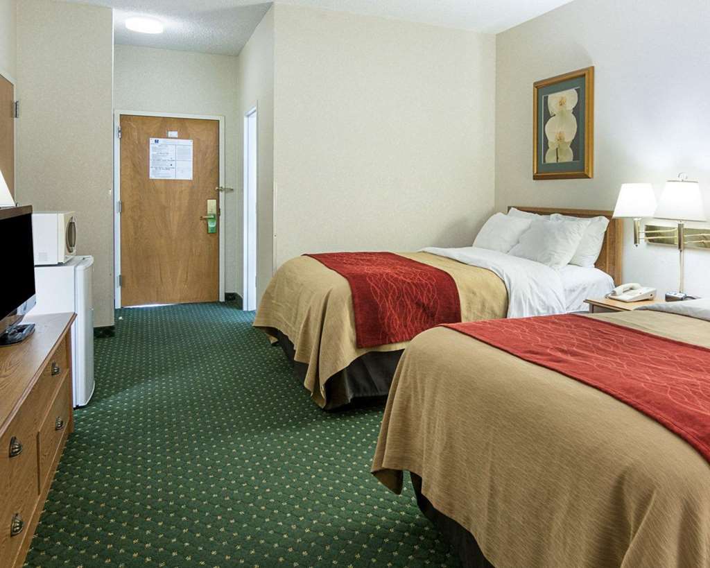 Comfort Inn Chester - Richmond South Cameră foto